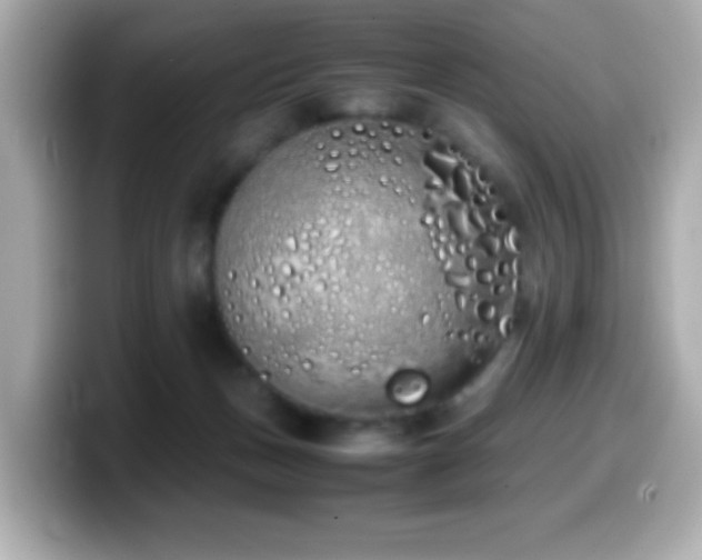 X0000099940175200805231259