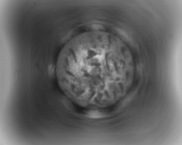 X0000099940177200805231259