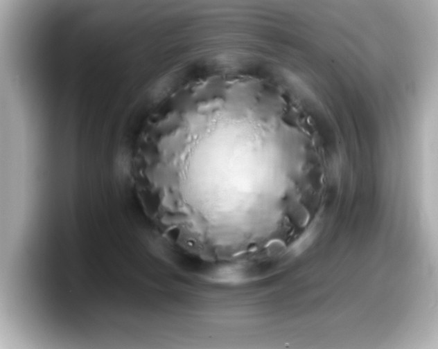 X0000099940178200805231259