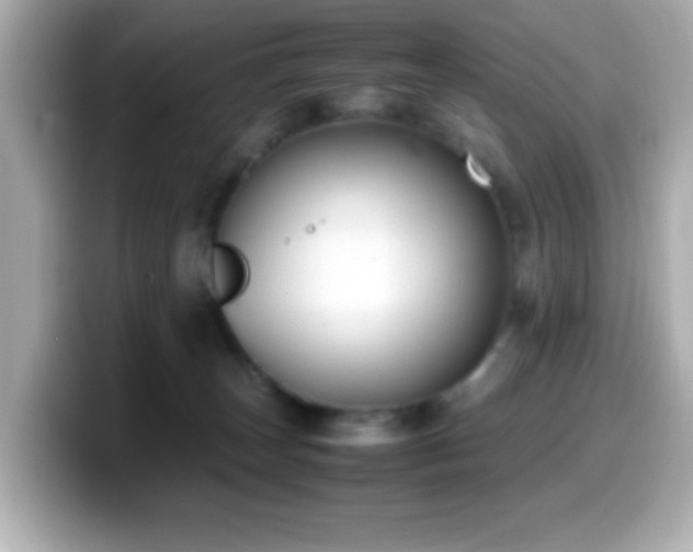 X0000099940179200805231259