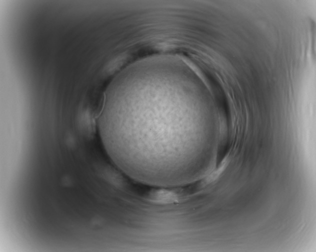 X0000099940180200805231259