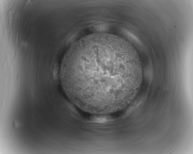 X0000099940181200805231259