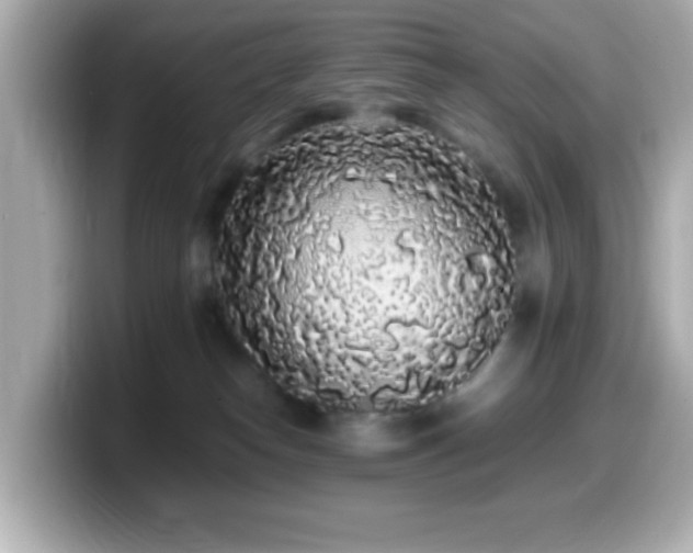 X0000099940182200805231259
