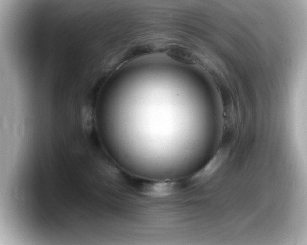 X0000099940184200805231259