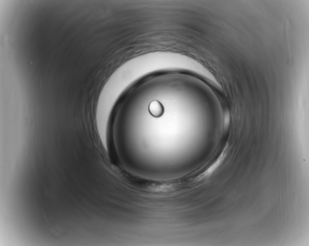 X0000099940186200805231259