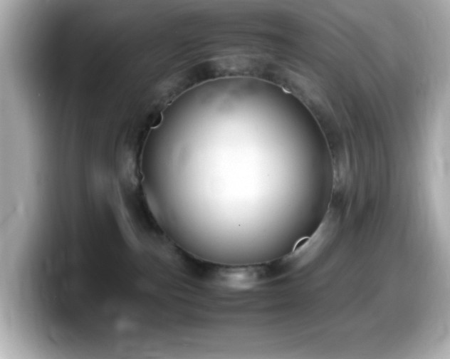 X0000099940187200805231259