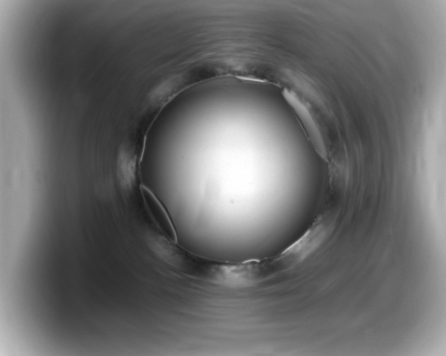X0000099940188200805231259