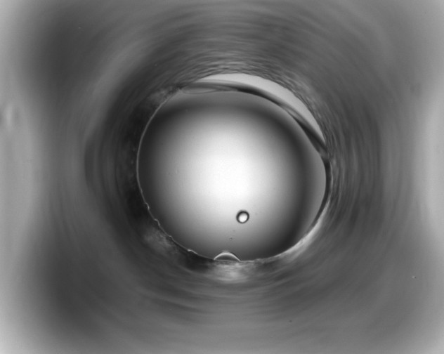 X0000099940190200805231259