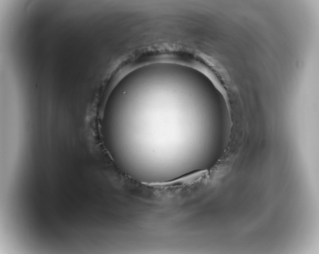 X0000099940192200805231300