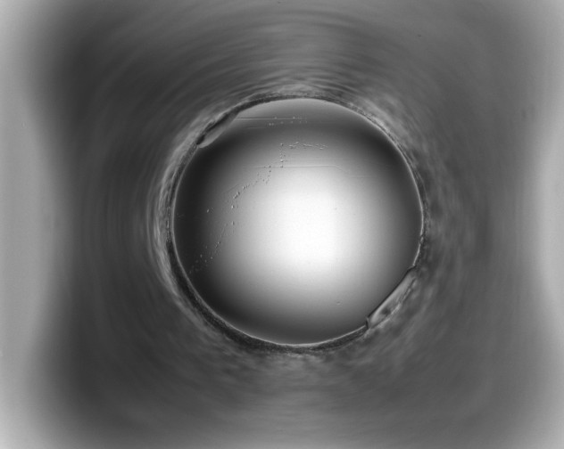 X0000099940193200805231259