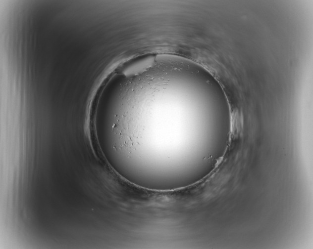 X0000099940195200805231259