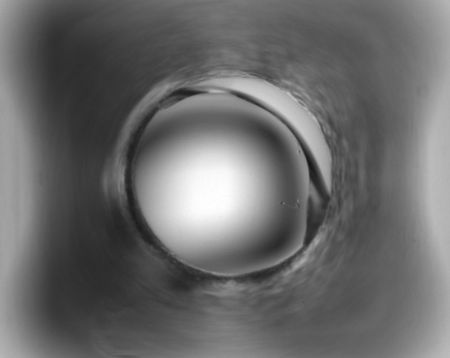 X0000099940197200805231259