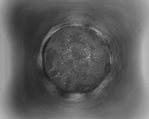 X0000099940198200805231259