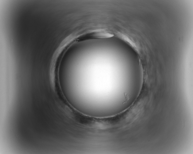 X0000099940199200805231259