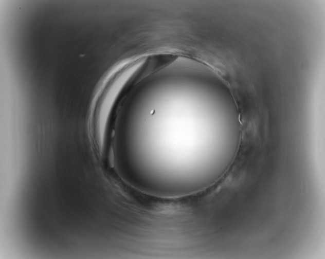 X0000099940200200805231259
