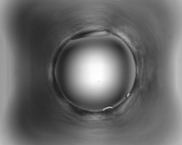X0000099940201200805231259