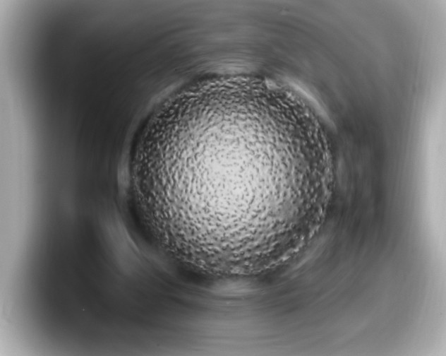 X0000099940202200805231259