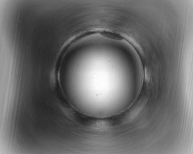 X0000099940204200805231259