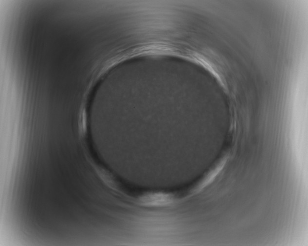 X0000099940205200805231259