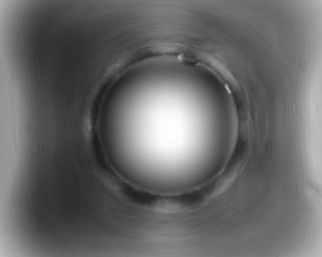 X0000099940207200805231259