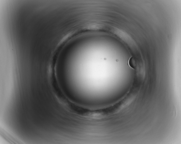 X0000099940208200805231259