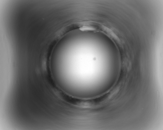 X0000099940209200805231259