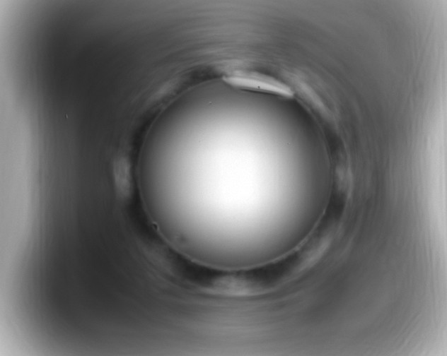 X0000099940211200805231259