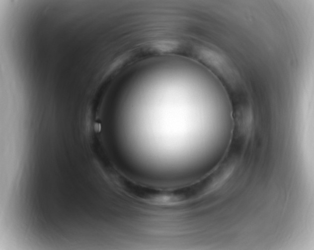 X0000099940212200805231259
