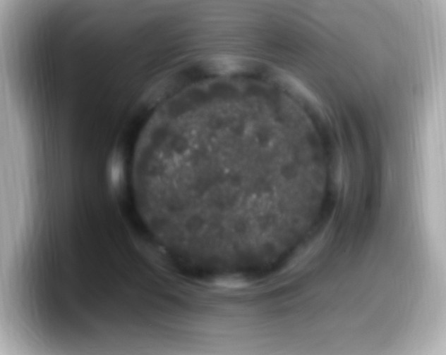 X0000099940214200805231259