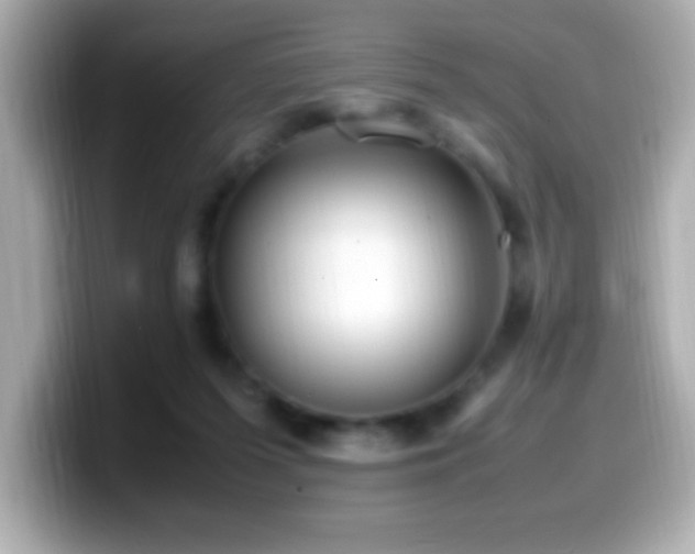 X0000099940215200805231259