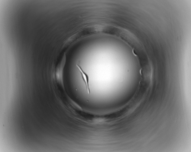 X0000099940216200805231259