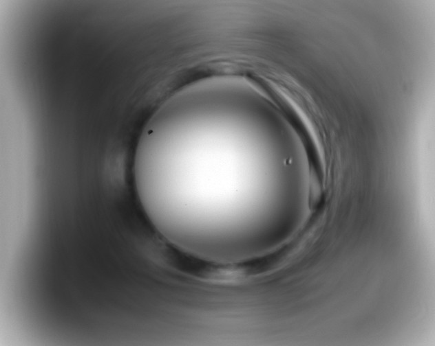 X0000099940217200805231258