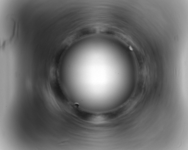 X0000099940218200805231258