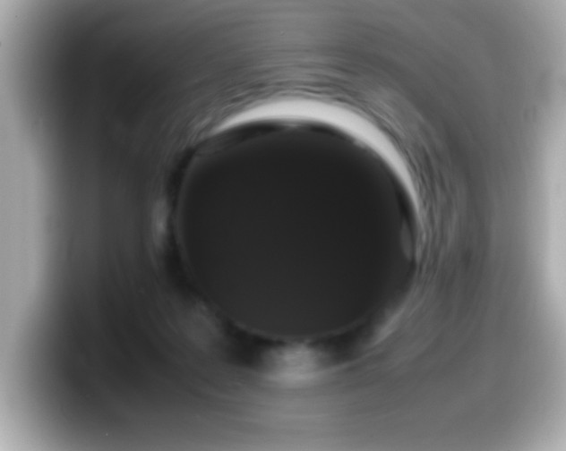 X0000099940219200805231258