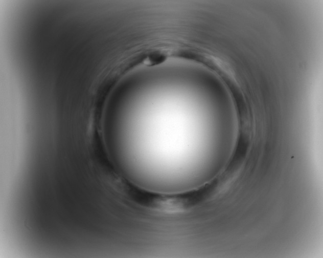 X0000099940221200805231258