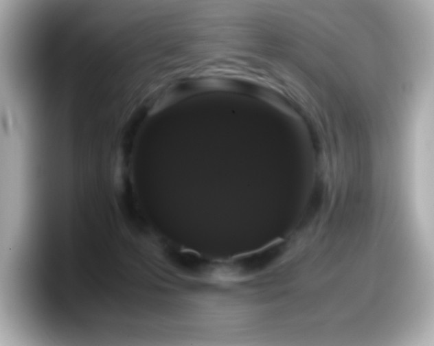 X0000099940223200805231258
