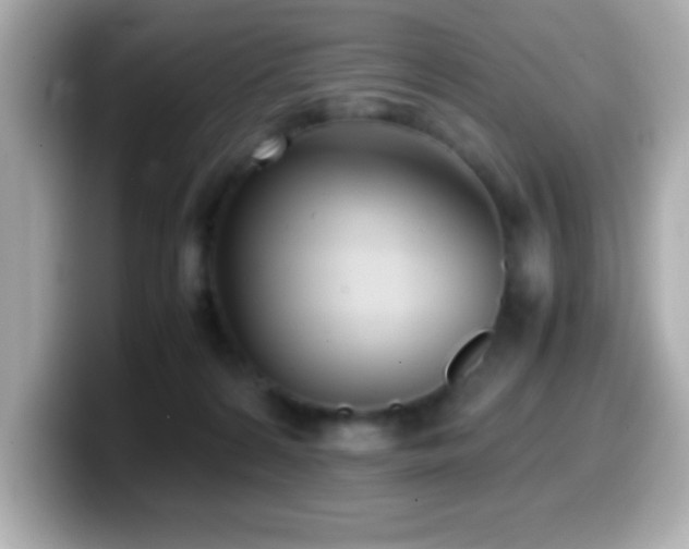 X0000099940224200805231258