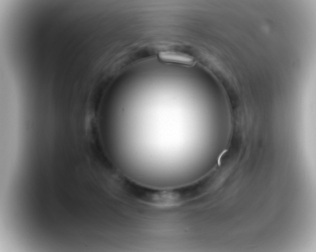 X0000099940225200805231258