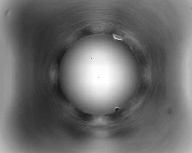 X0000099940226200805231258