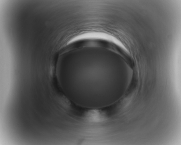 X0000099940227200805231258