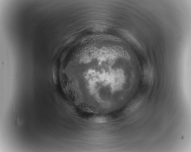 X0000099940228200805231258
