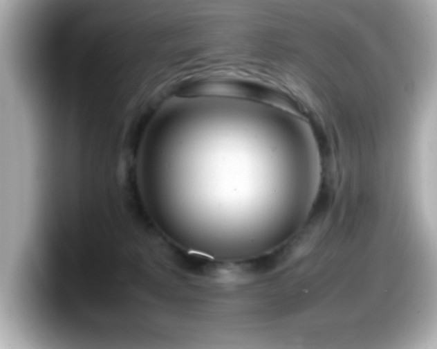 X0000099940229200805231258