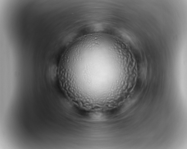 X0000099940230200805231258