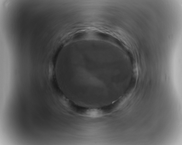 X0000099940231200805231258