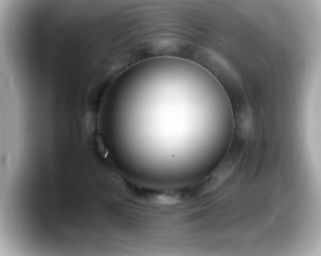 X0000099940232200805231258