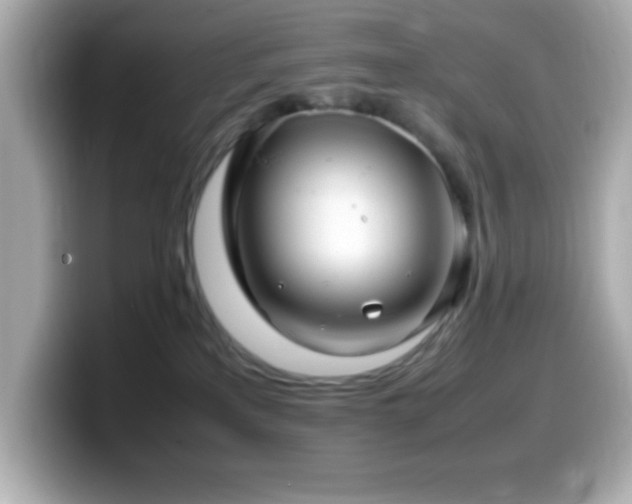 X0000099940233200805231258