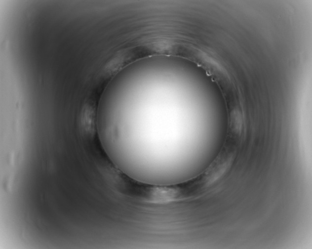 X0000099940234200805231258