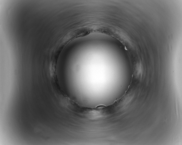 X0000099940236200805231258