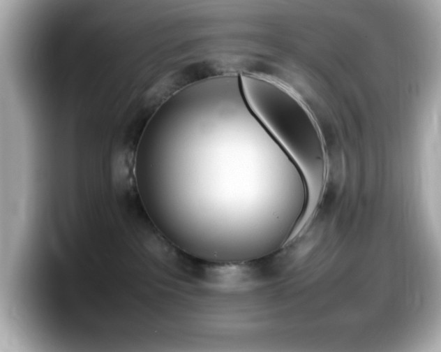 X0000099940237200805231258