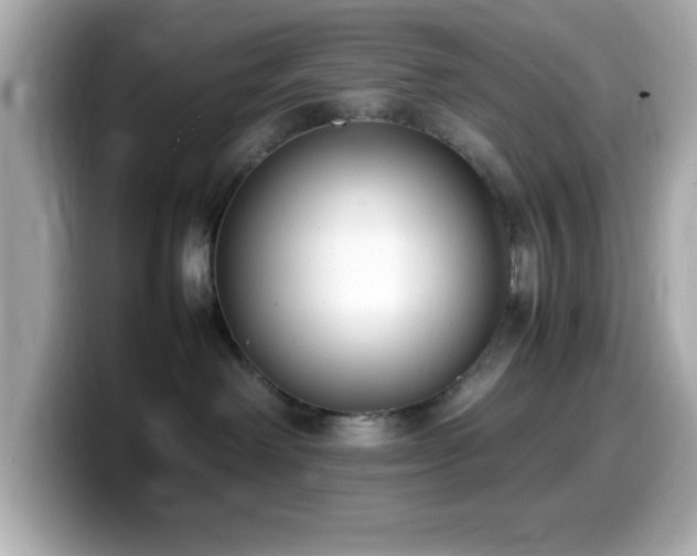 X0000099940238200805231258